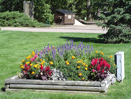 photo of flower bed at Hall County Park